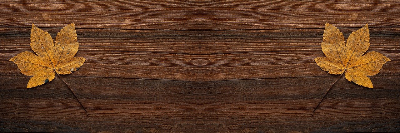 The Classic Beauty of Maple Hardwood Flooring